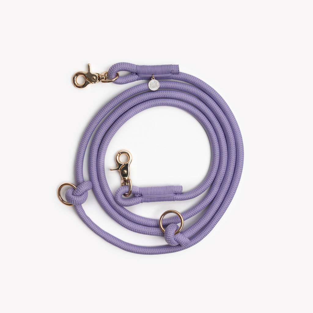 Lavender Hands Free Braided Leash