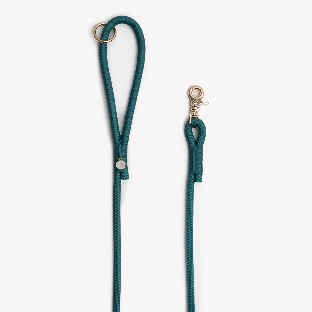 Blue Braided Rope Leash