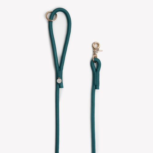 Blue Braided Rope Leash