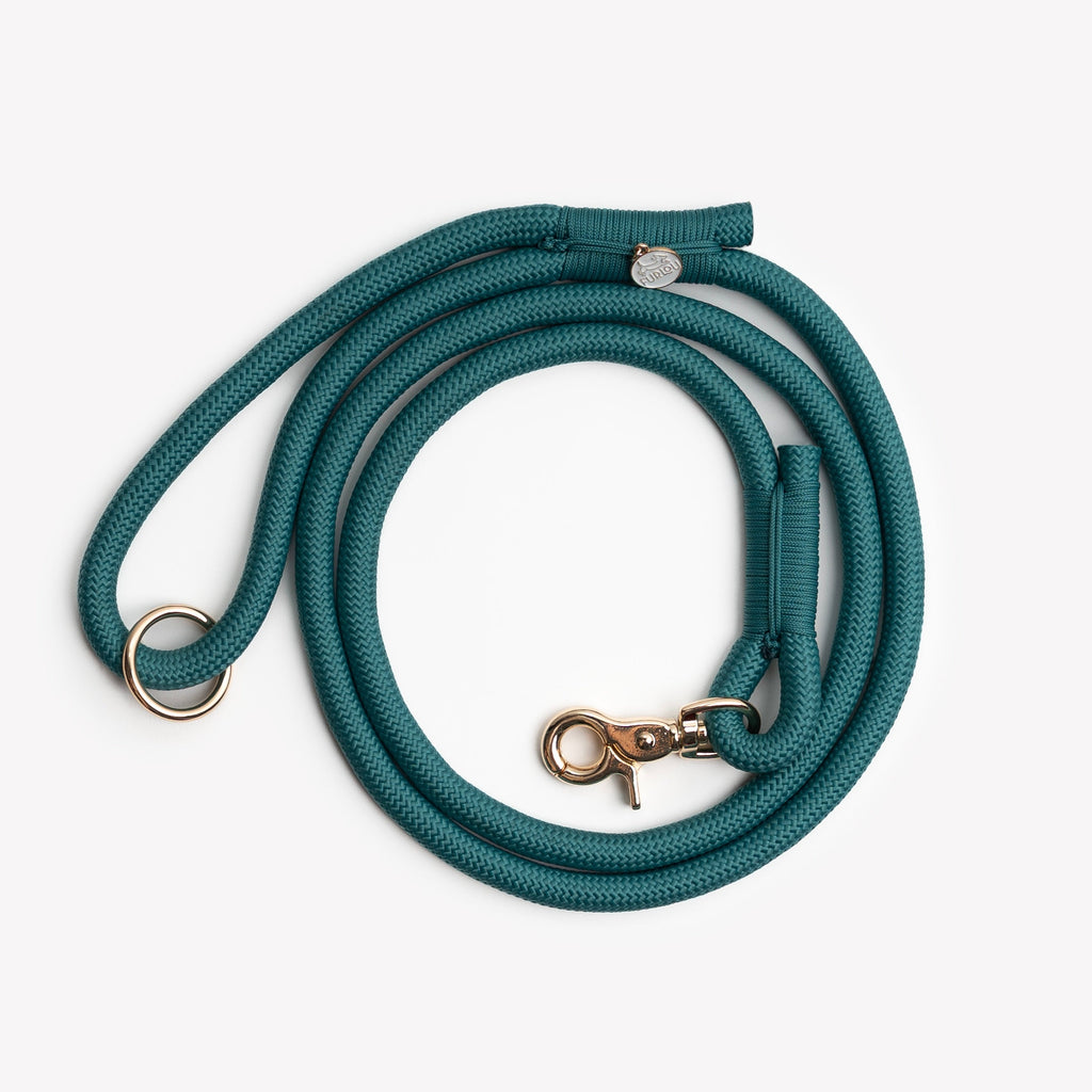 Blue Braided Rope Leash