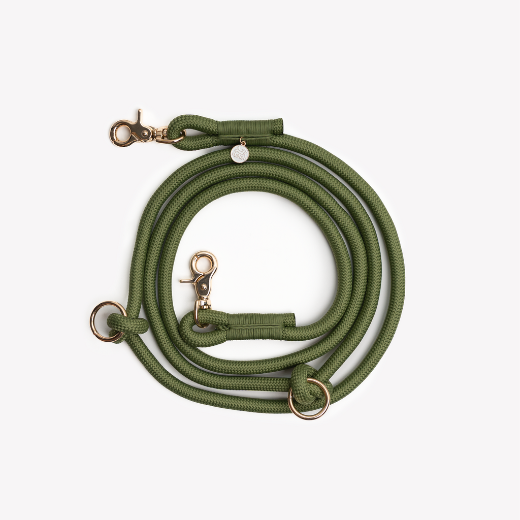 Green Hands Free Braided Leash