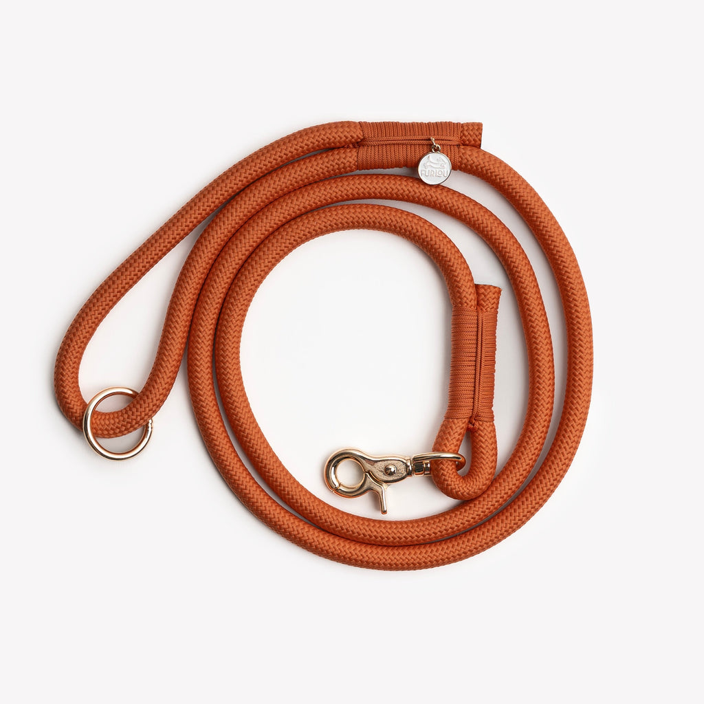 Terracotta Braided Rope Leash