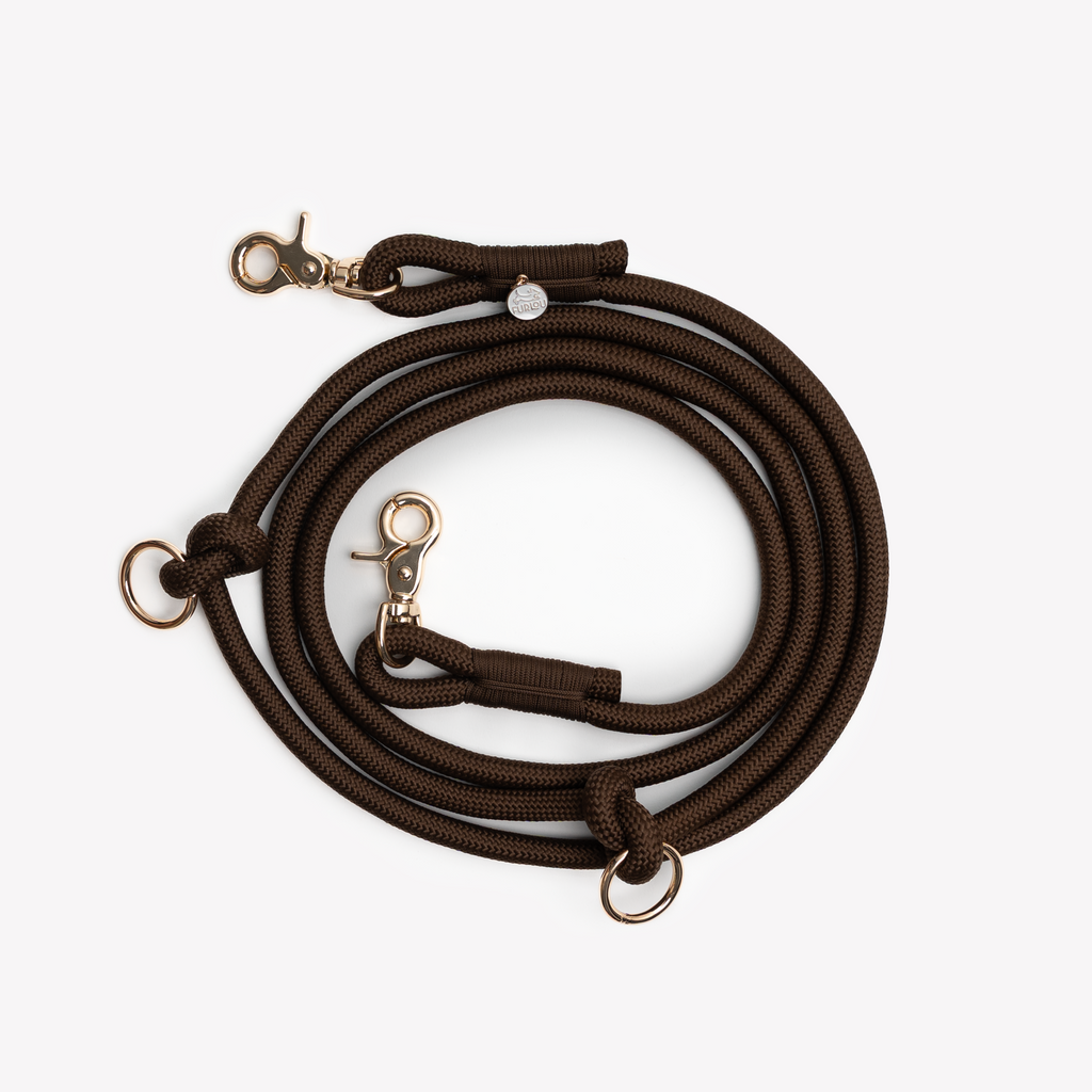 Brown Hands Free Braided Leash