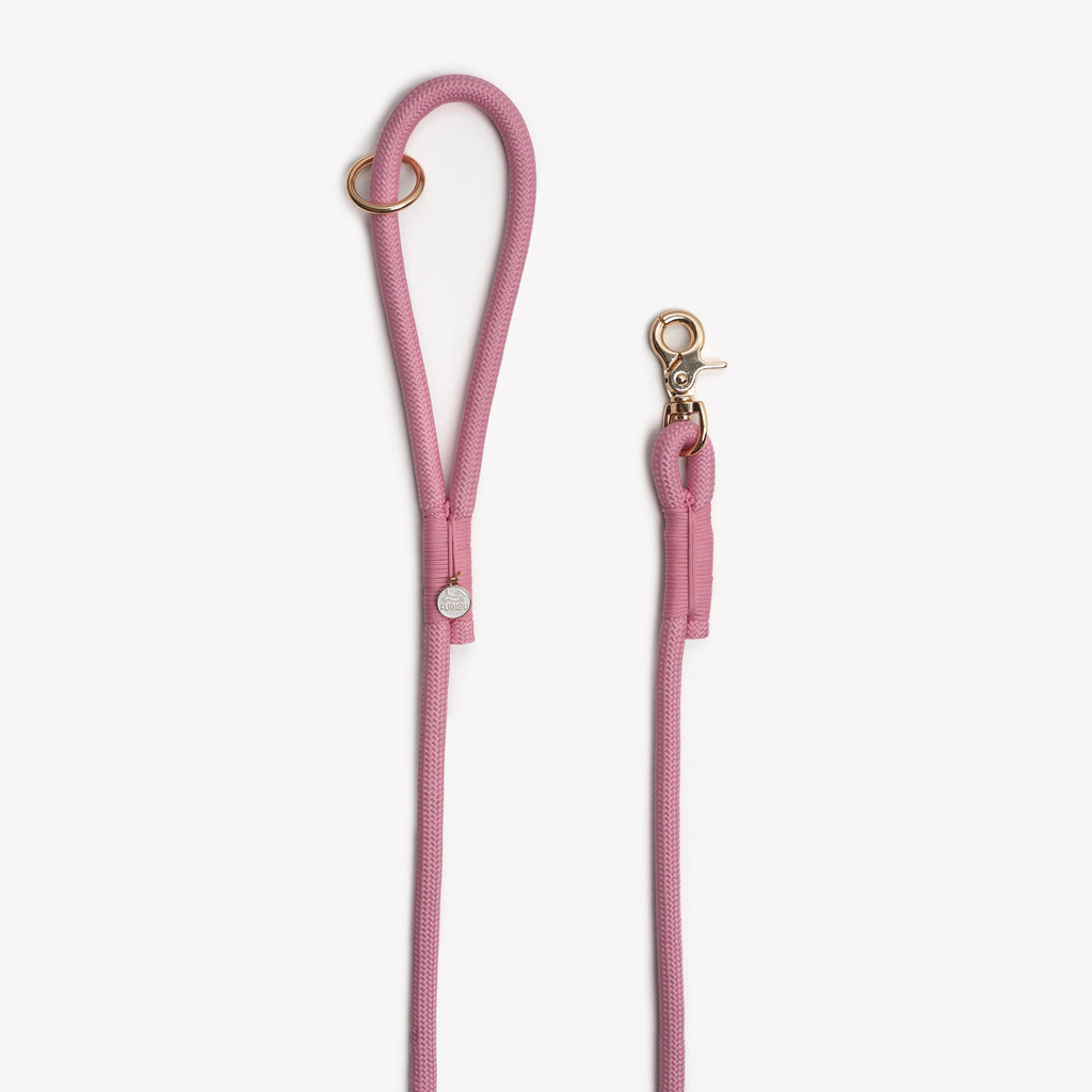 Pink Braided Rope Leash