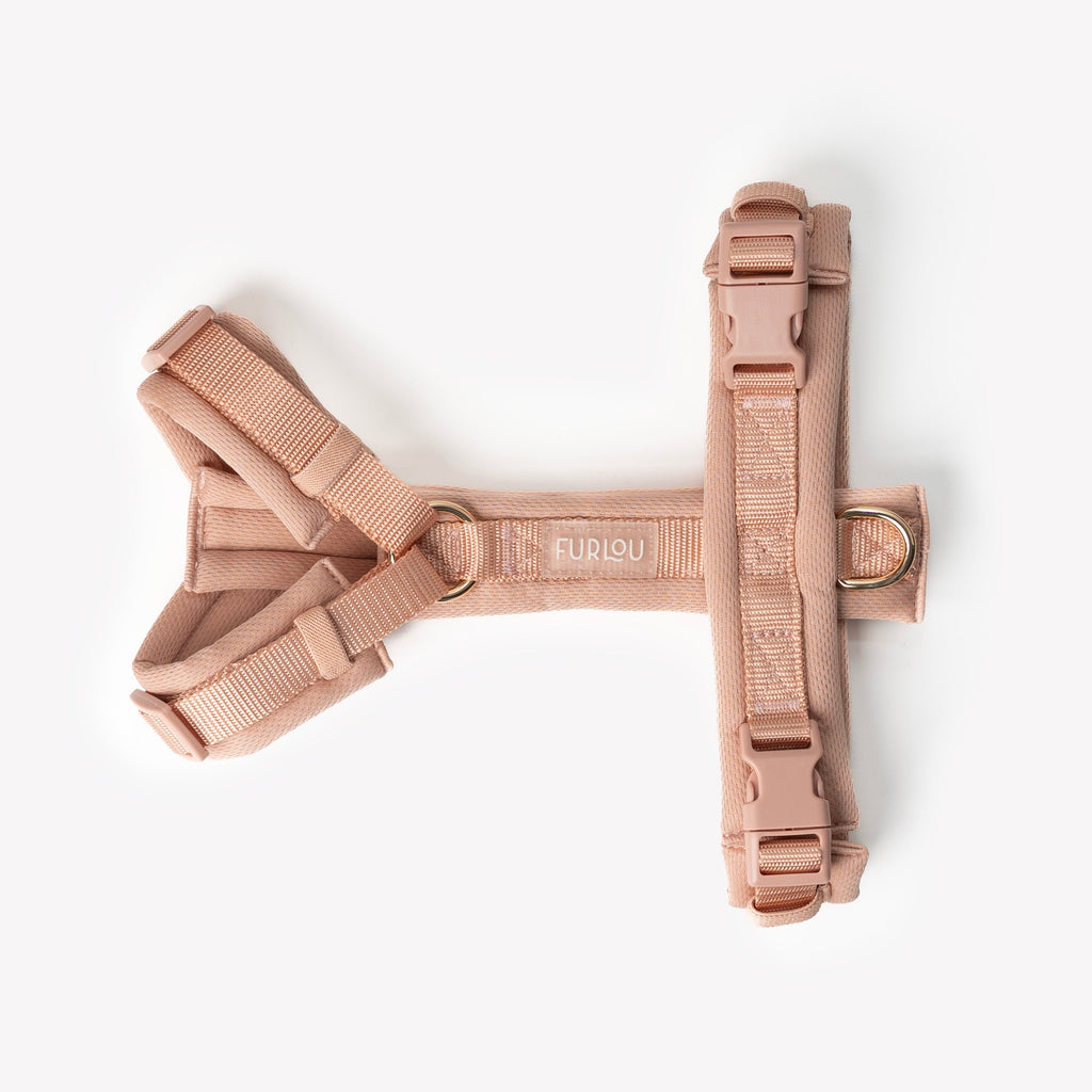 Powder Rose Comfort Dog Harness