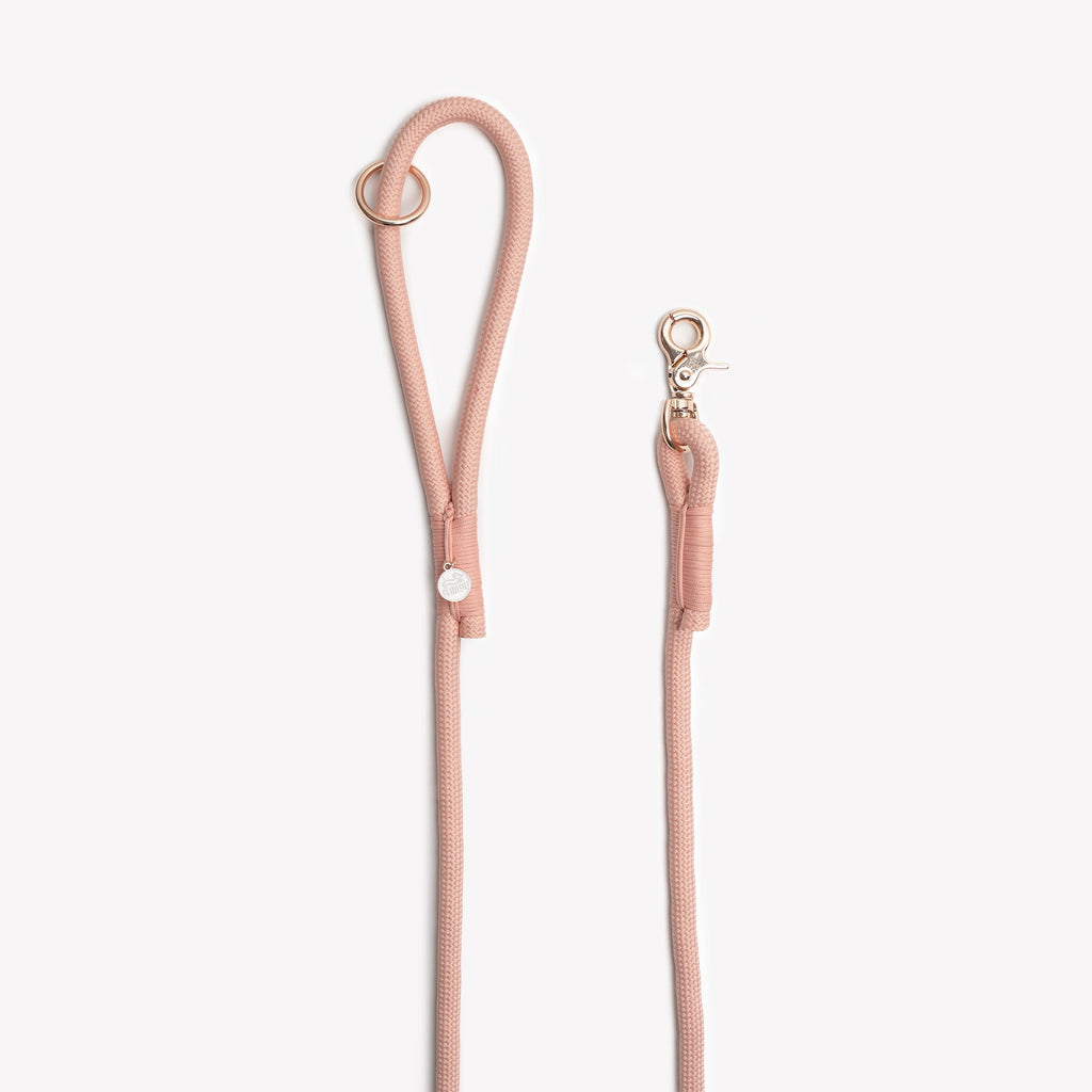 Powder Rose Braided Rope Leash