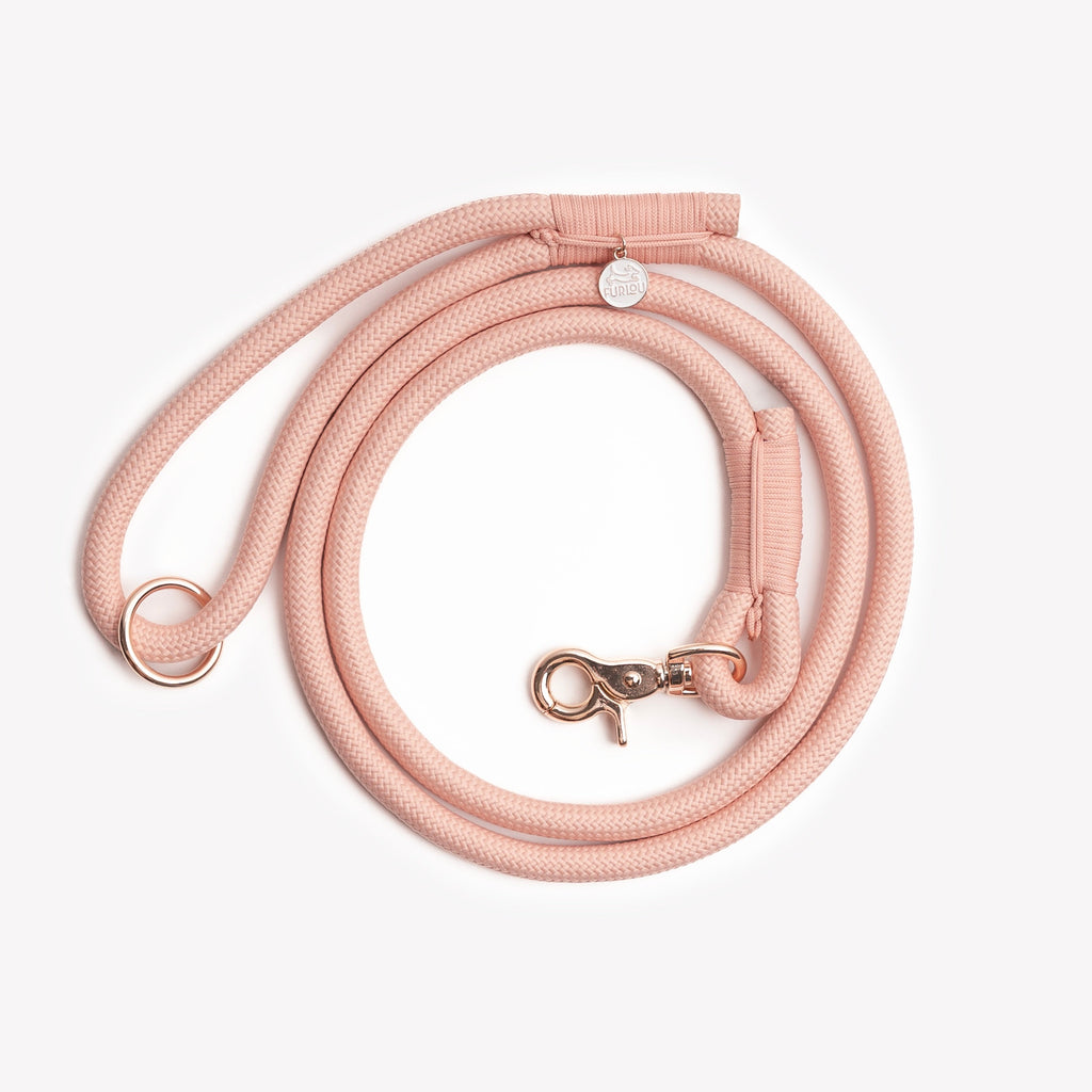Powder Rose Braided Rope Leash