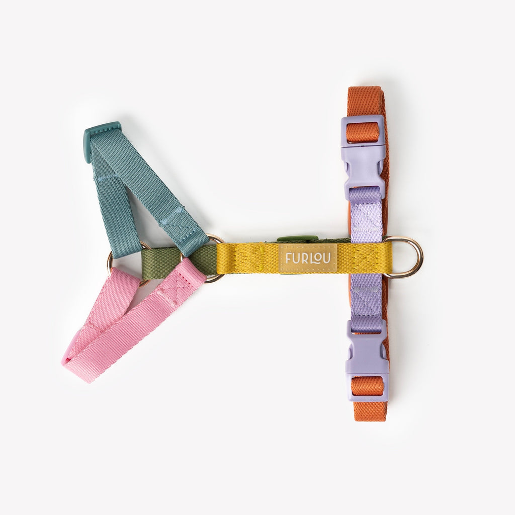 Rainbow Adjustable Dog Harness