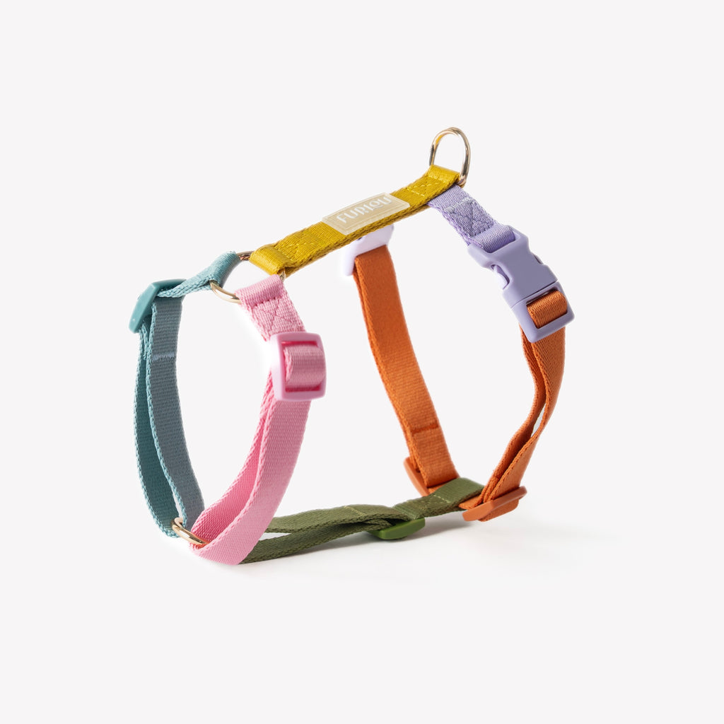 Rainbow Adjustable Dog Harness