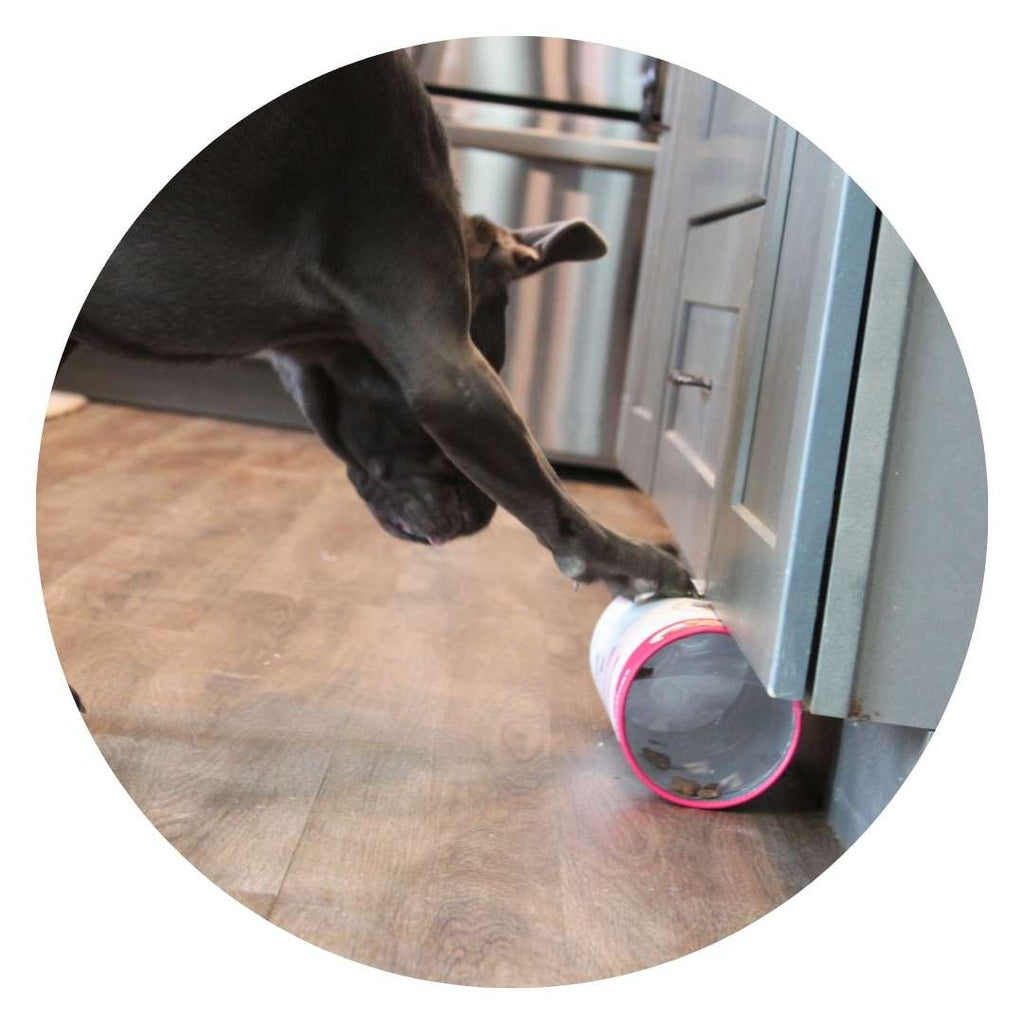 3-in-1 Bundle Enrichment Tube for Dogs - Tug Toy, Treat Dispenser & Snuffle Ball