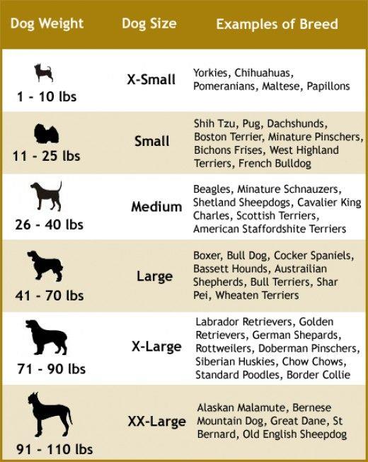 Hot Dog Pet Costume
