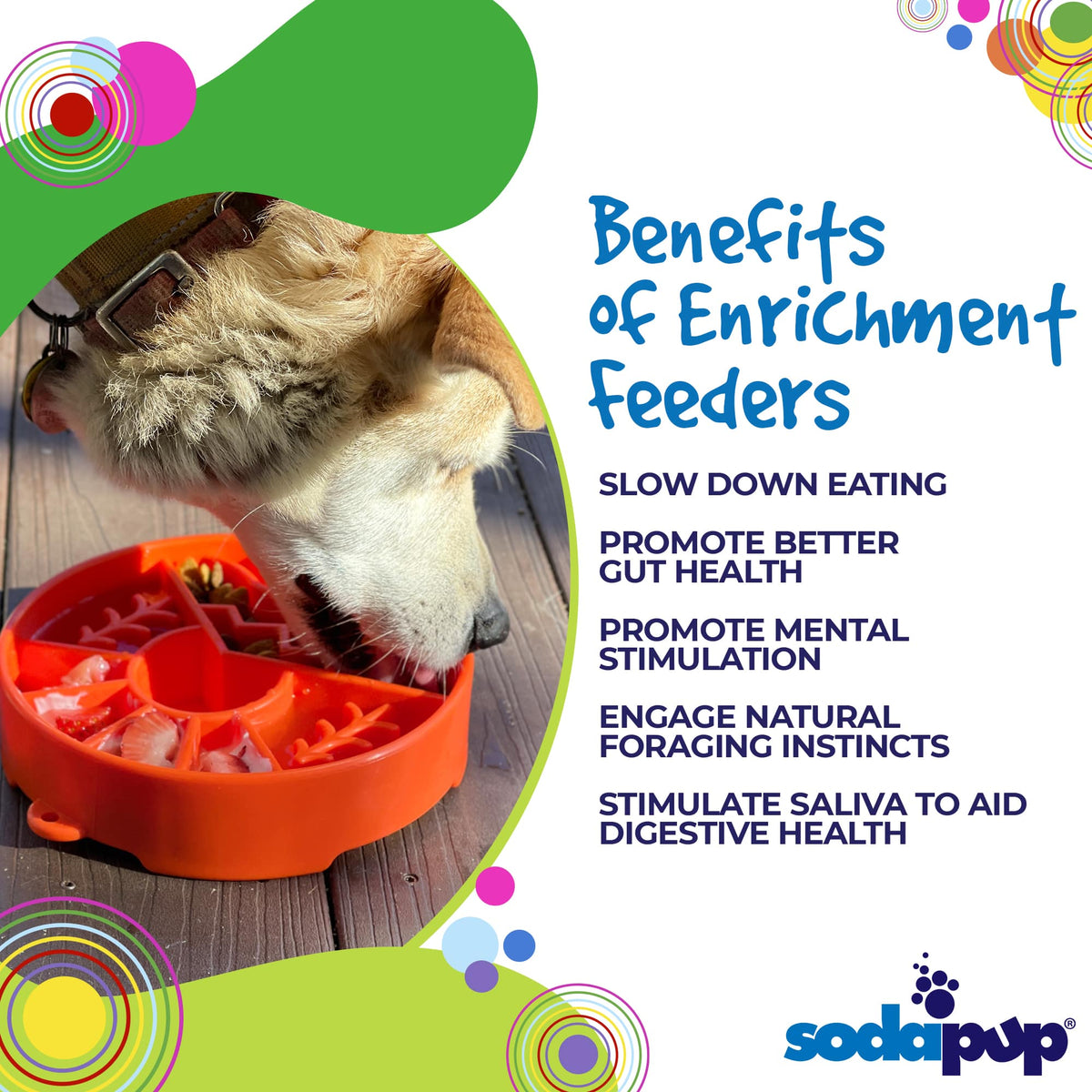 Great Outdoors Slow Feeder Enrichment Bowl