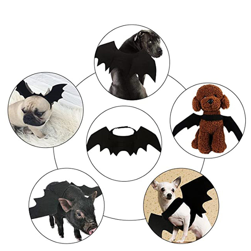 Bat Wings for Cats & Small Dogs
