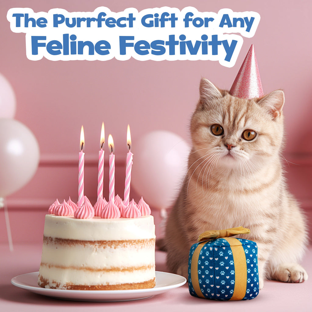 Gift Box Catnip Cat Toy