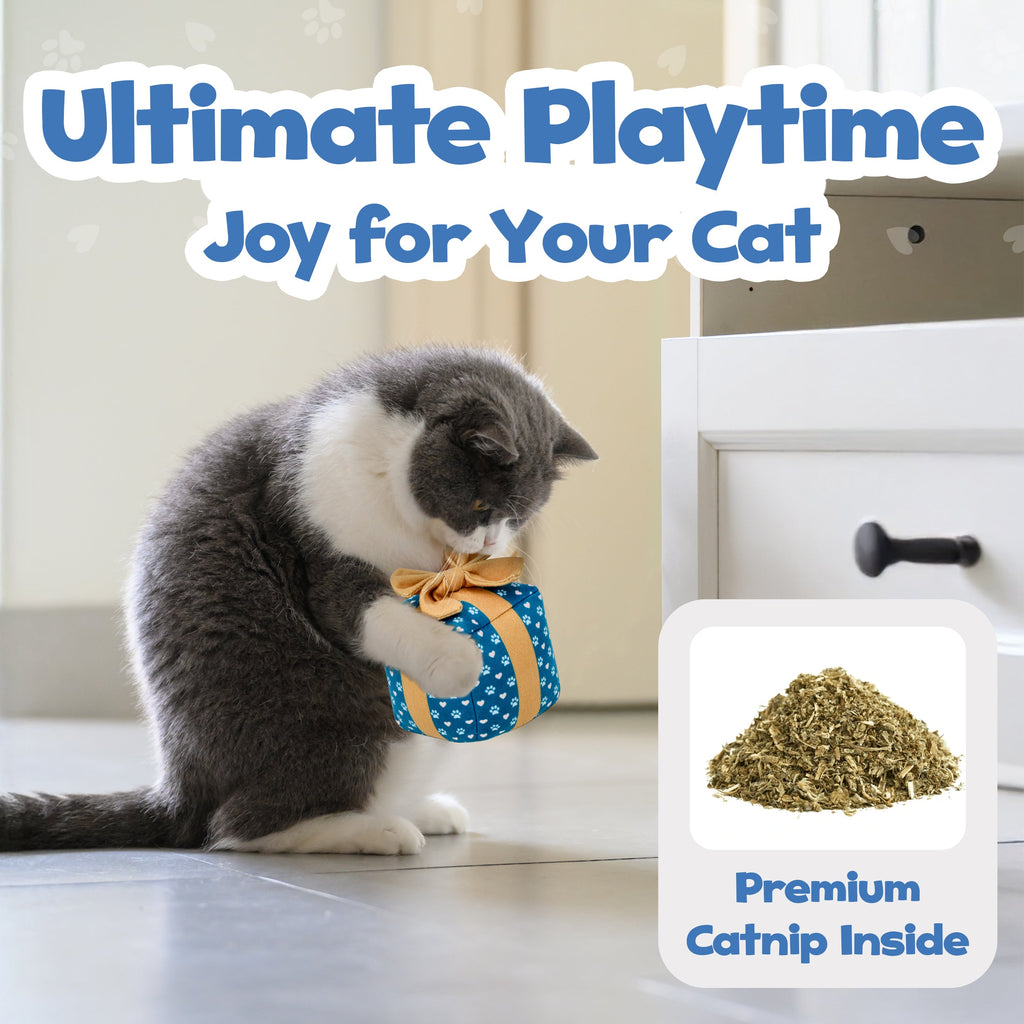 Gift Box Catnip Cat Toy
