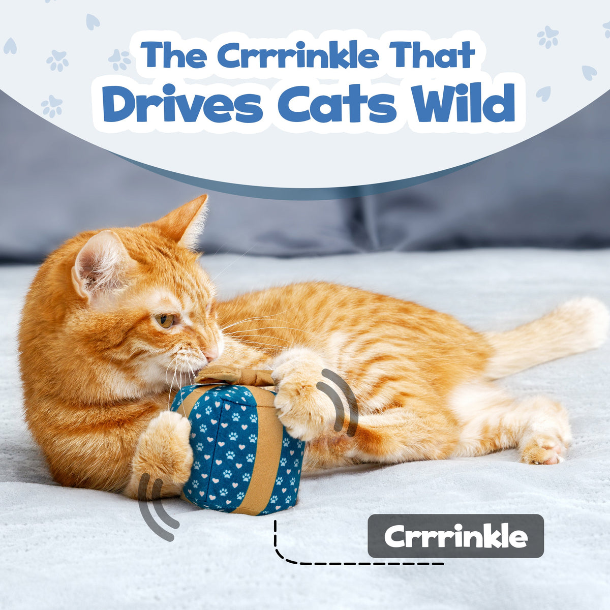 Gift Box Catnip Cat Toy