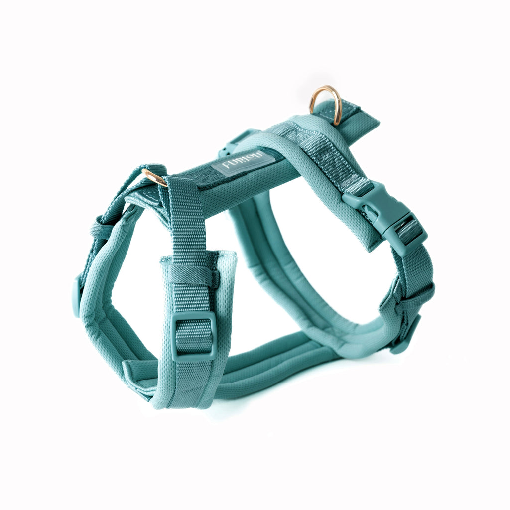 Blue Comfort Dog Harness