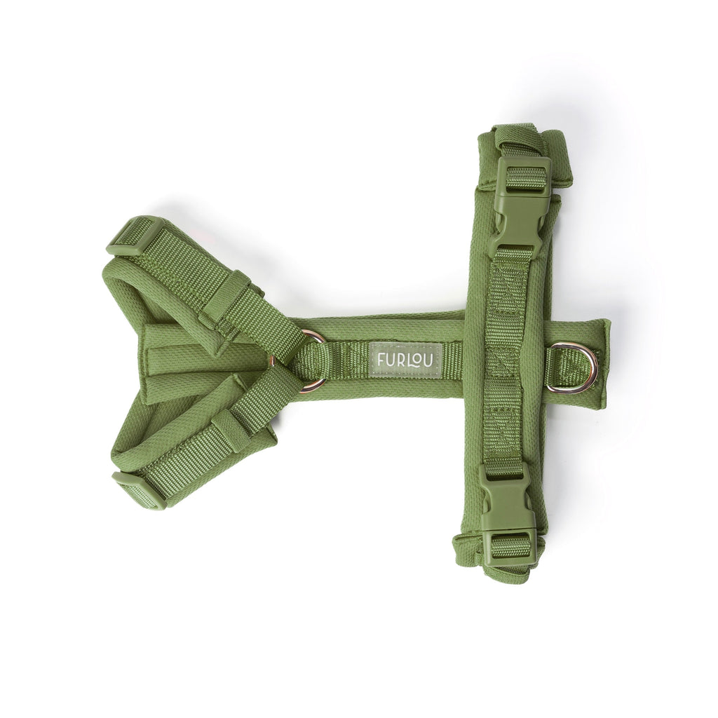 Green Comfort Dog Harness