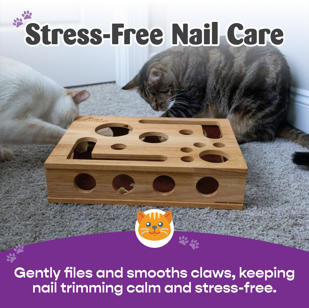 Cat Nail File Enrichment Box