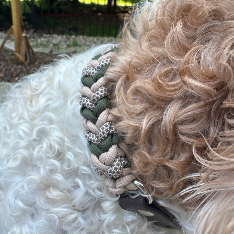 Olive & Tan Hand-Braided Dog Collar