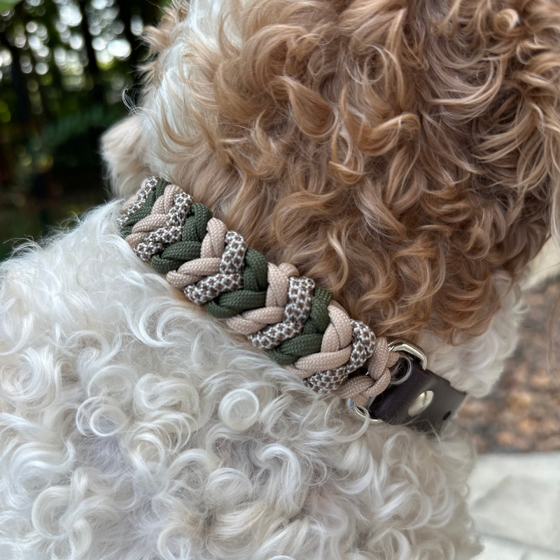 Olive & Tan Hand-Braided Dog Collar
