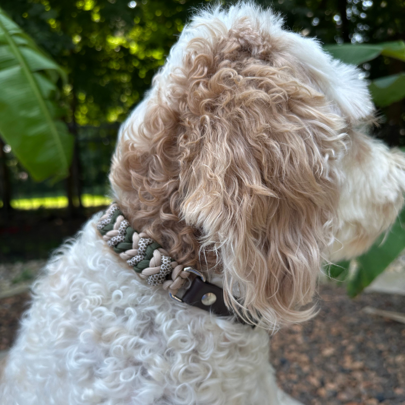 Olive & Tan Hand-Braided Dog Collar