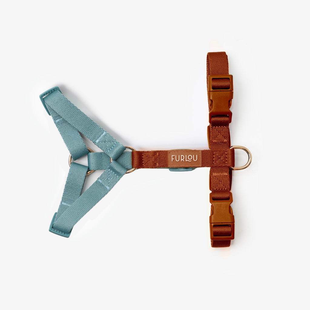 Blue and Clay Dog Harness