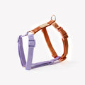 Lavender and Terracotta Dog Harness