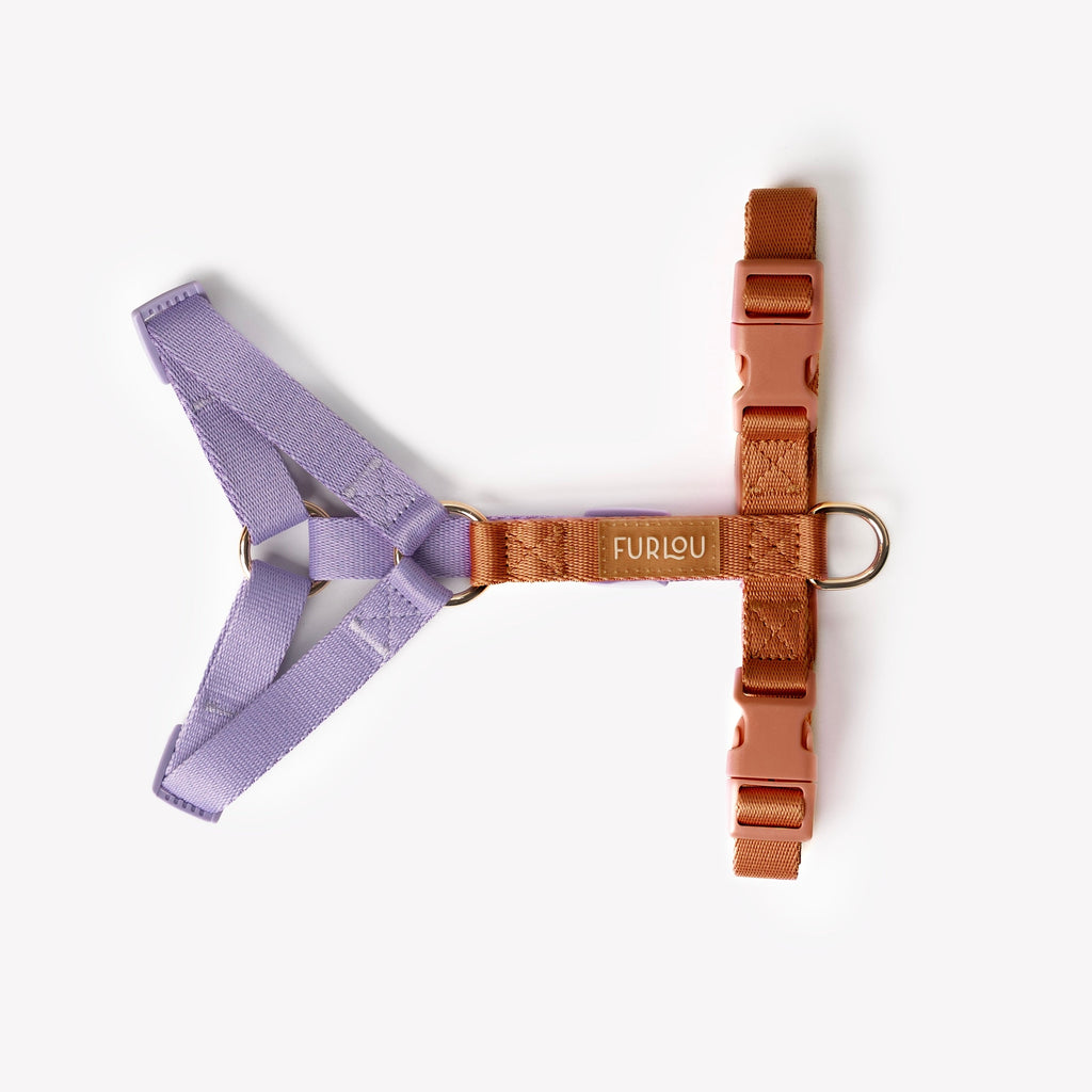 Lavender and Terracotta Dog Harness