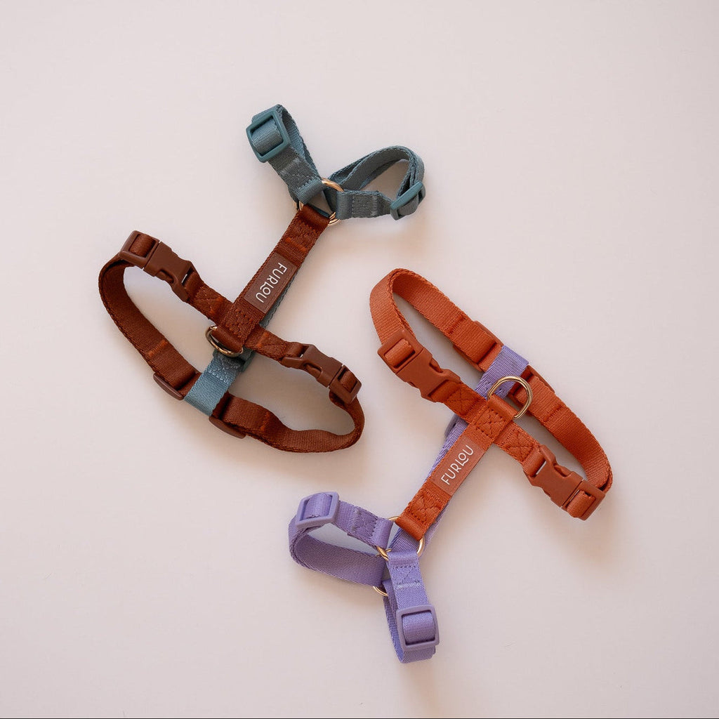 Blue and Clay Dog Harness