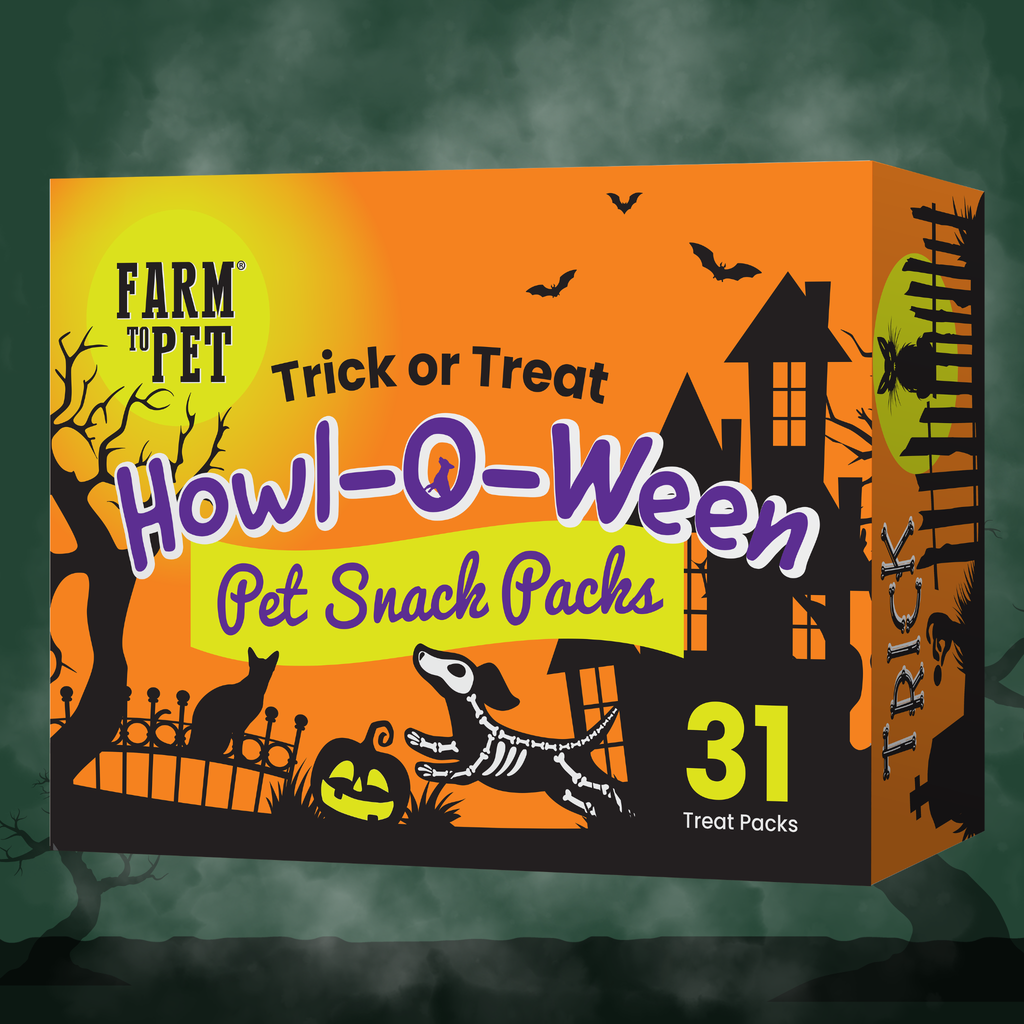 Halloween Snack Pack Treat Box