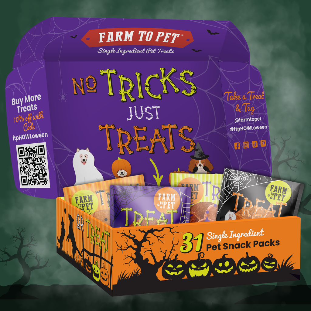 Halloween Snack Pack Treat Box