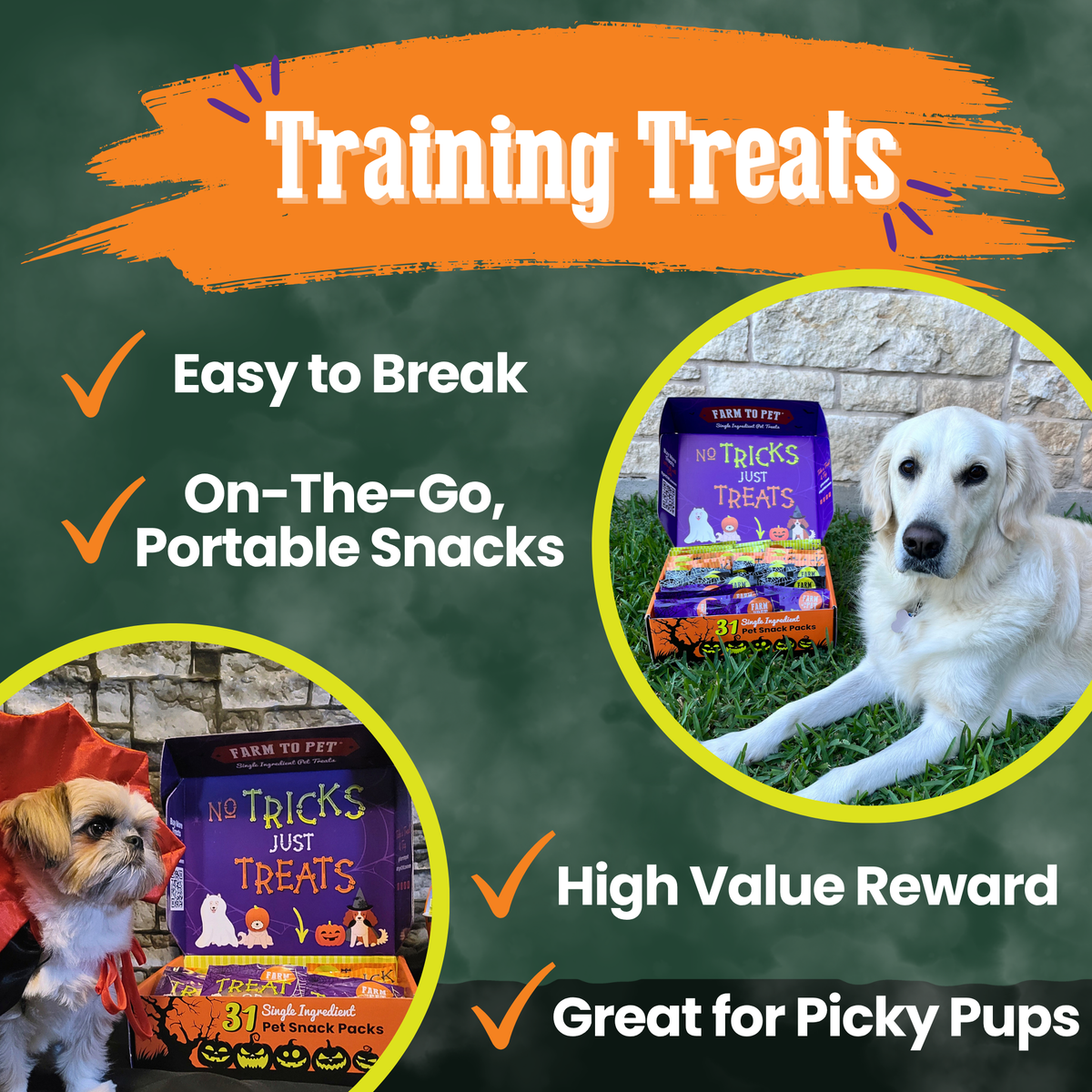 Halloween Snack Pack Treat Box
