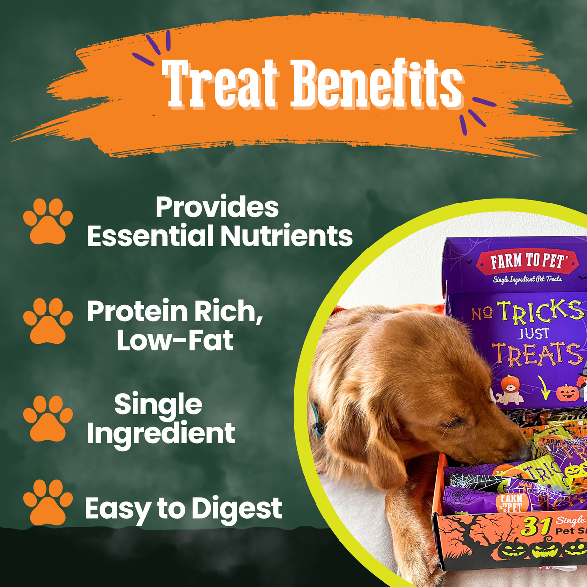Halloween Snack Pack Treat Box