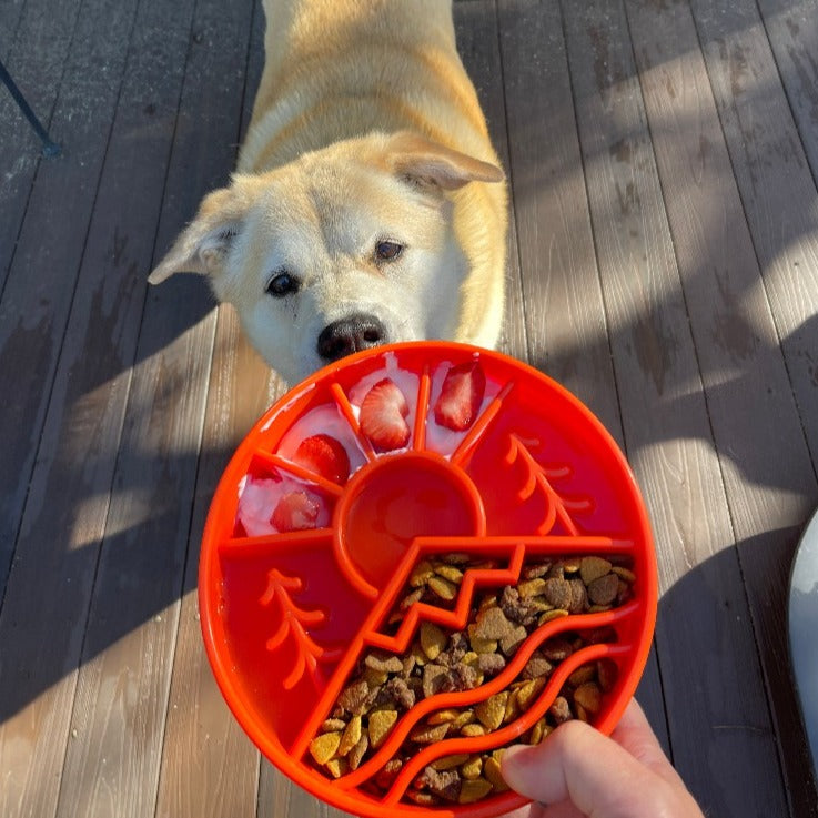 Great Outdoors Slow Feeder Enrichment Bowl