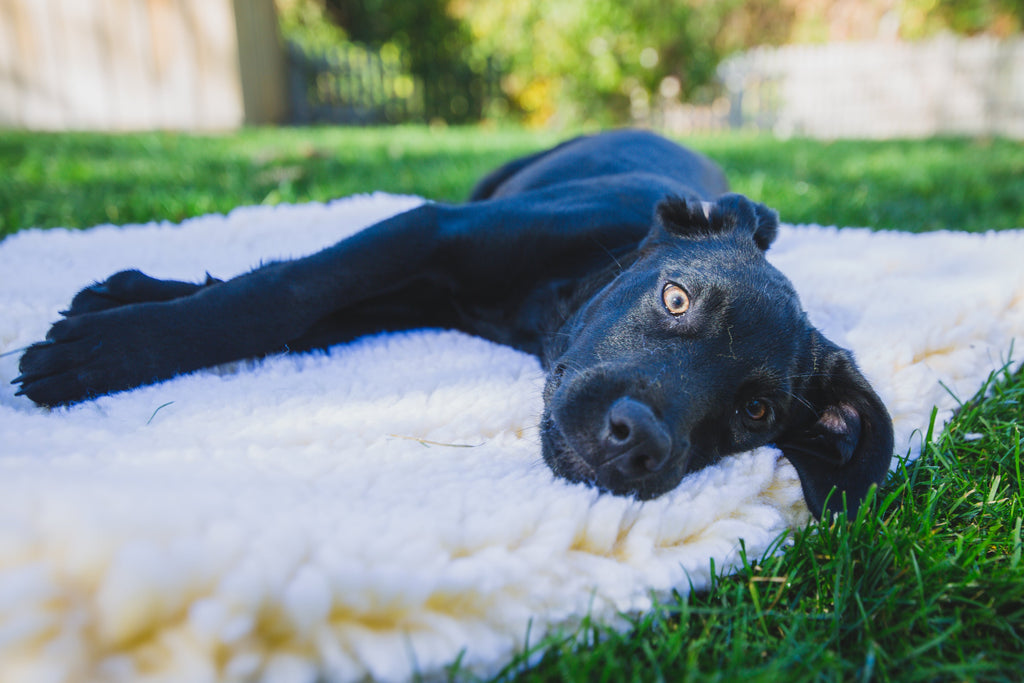 HuggleFleece Mat Bed
