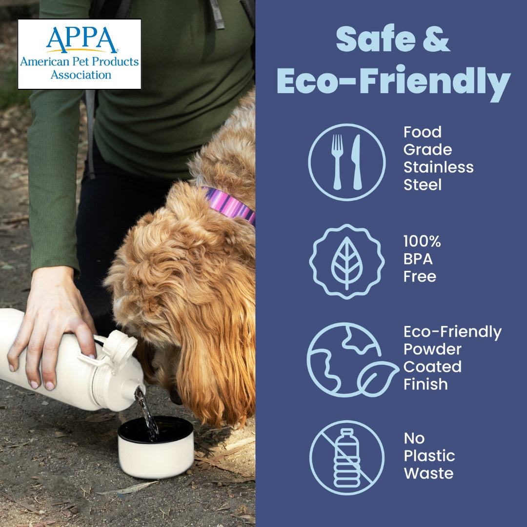 Dog & Human Water Bottle with Detachable Bowl