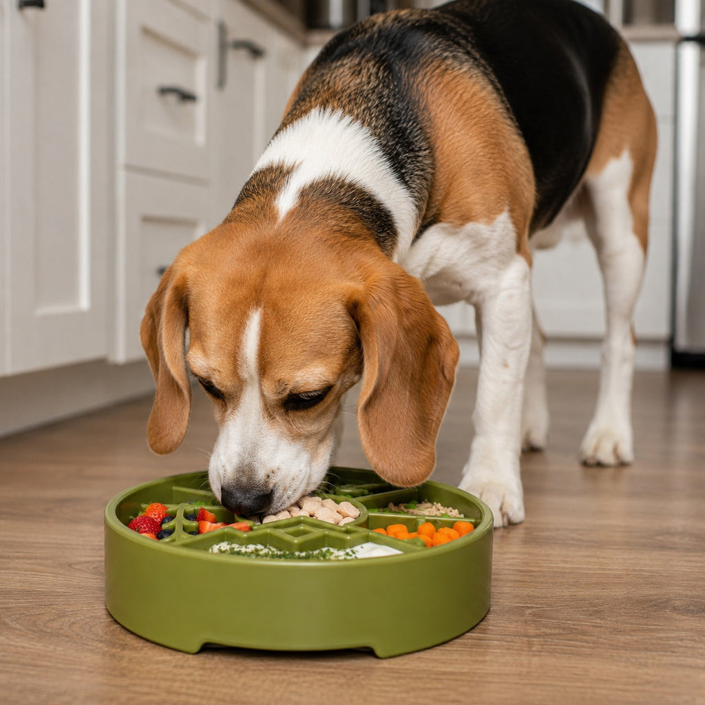 Great Outdoors Slow Feeder Enrichment Bowl