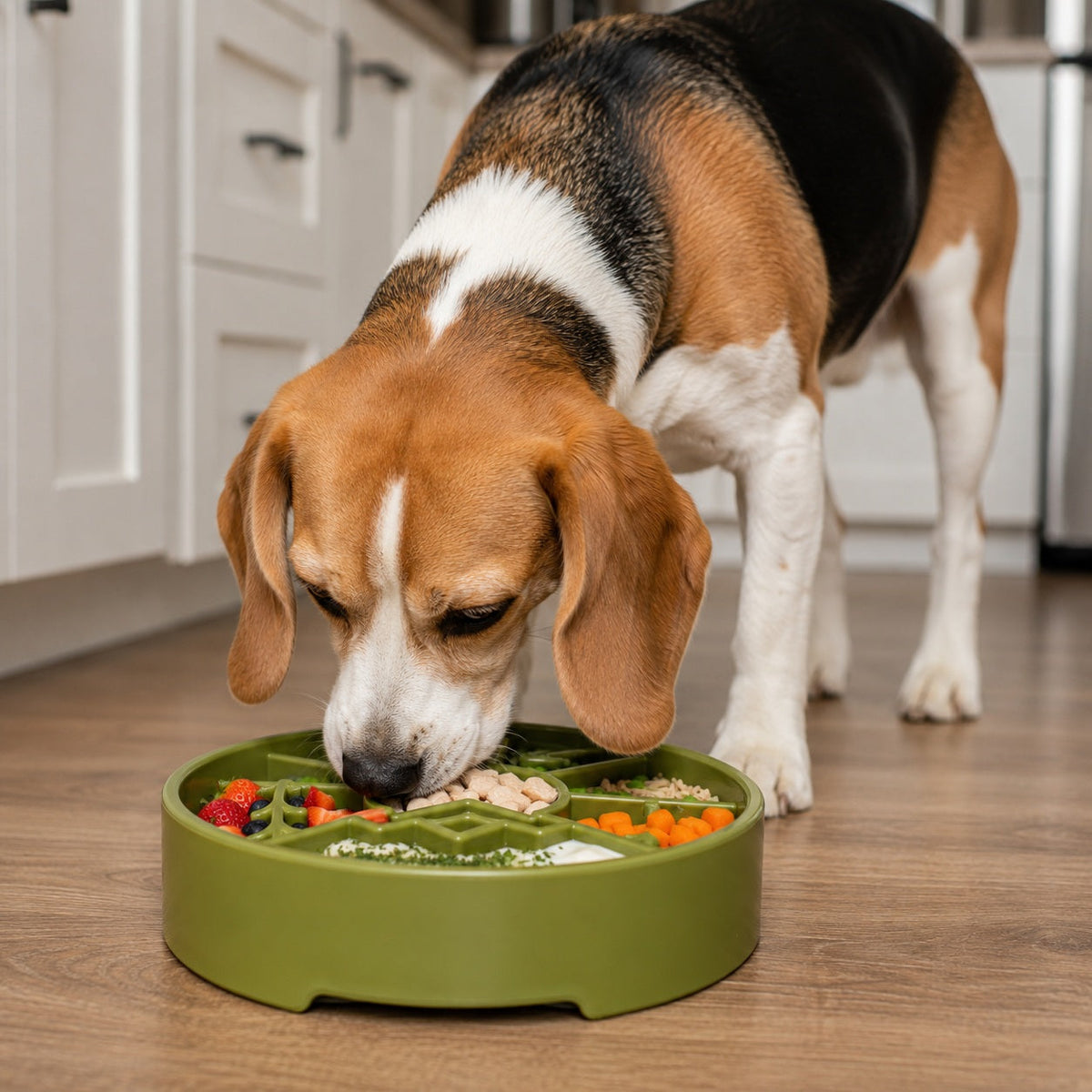 Great Outdoors Slow Feeder Enrichment Bowl