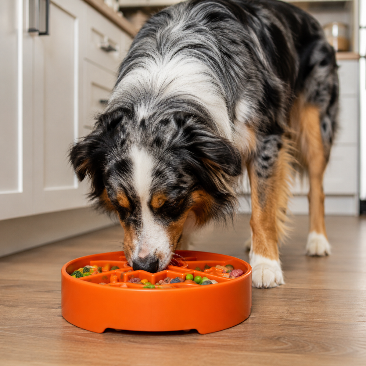 Great Outdoors Slow Feeder Enrichment Bowl