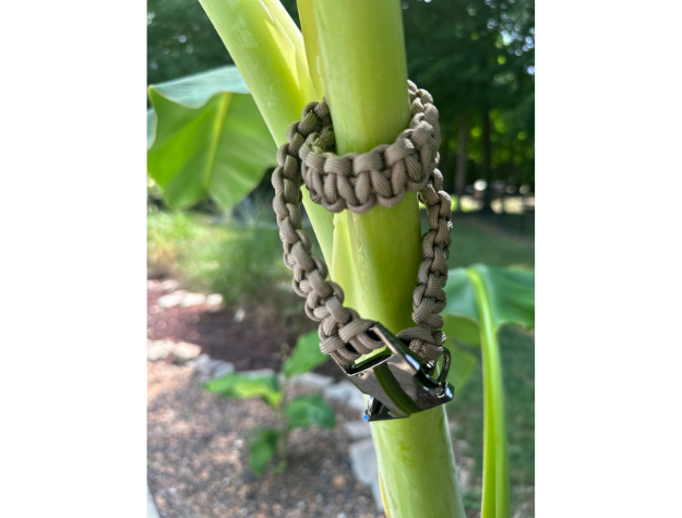 Tan Cobra Braid Dog Collar