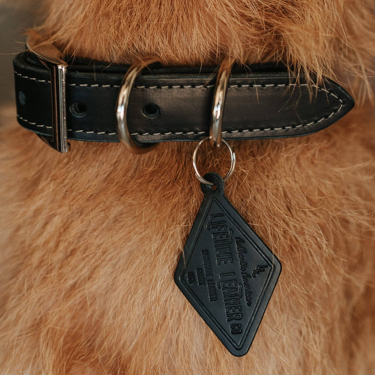 Full-Grain Leather Dog Collar