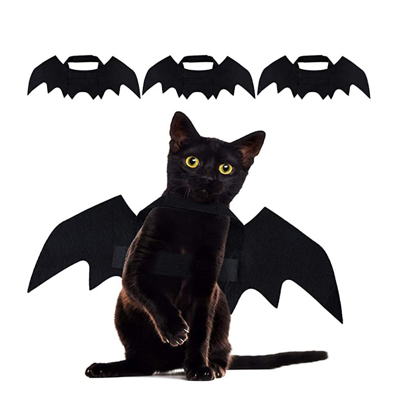 Bat Wings for Cats & Small Dogs