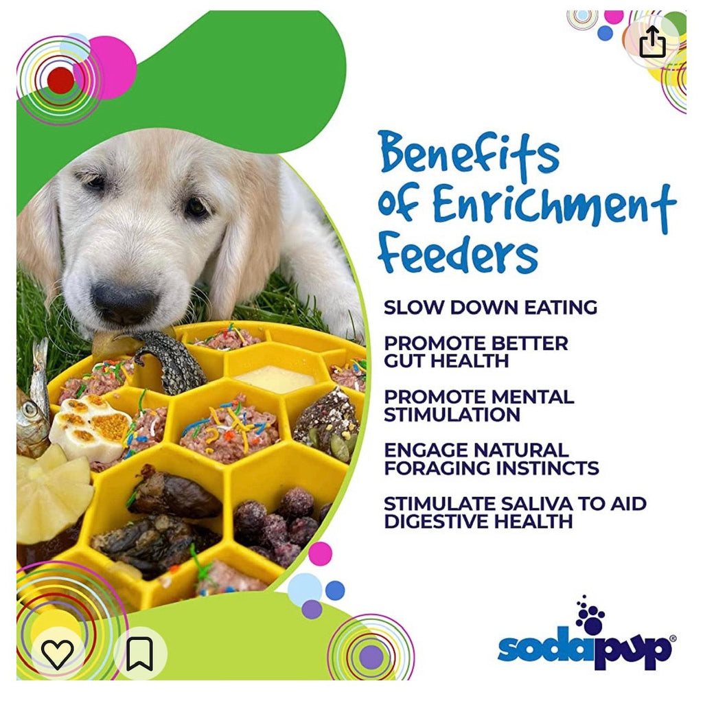 Honeycomb eBowl Deep Slow Feeder Dog Bowl for Enrichment | USA Made
