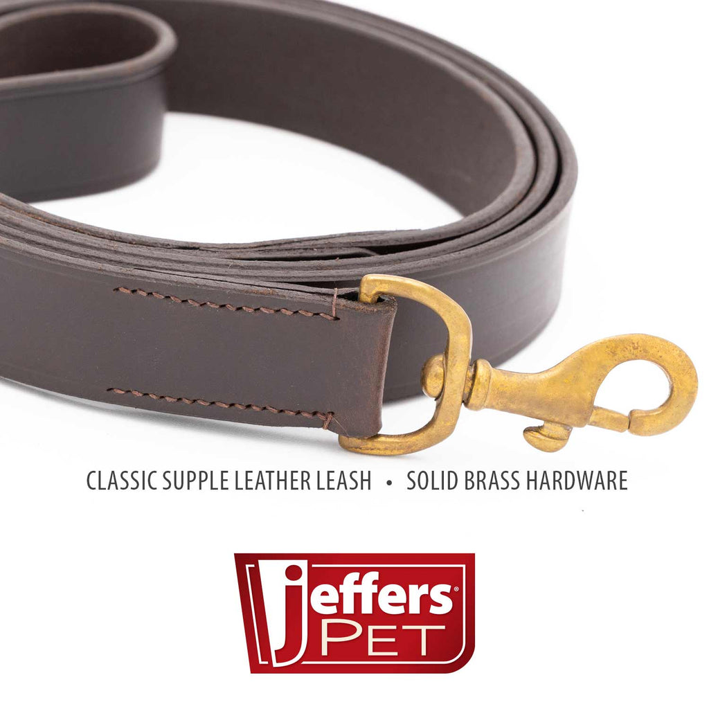 Flat Leather Dog Leash, 6 ft