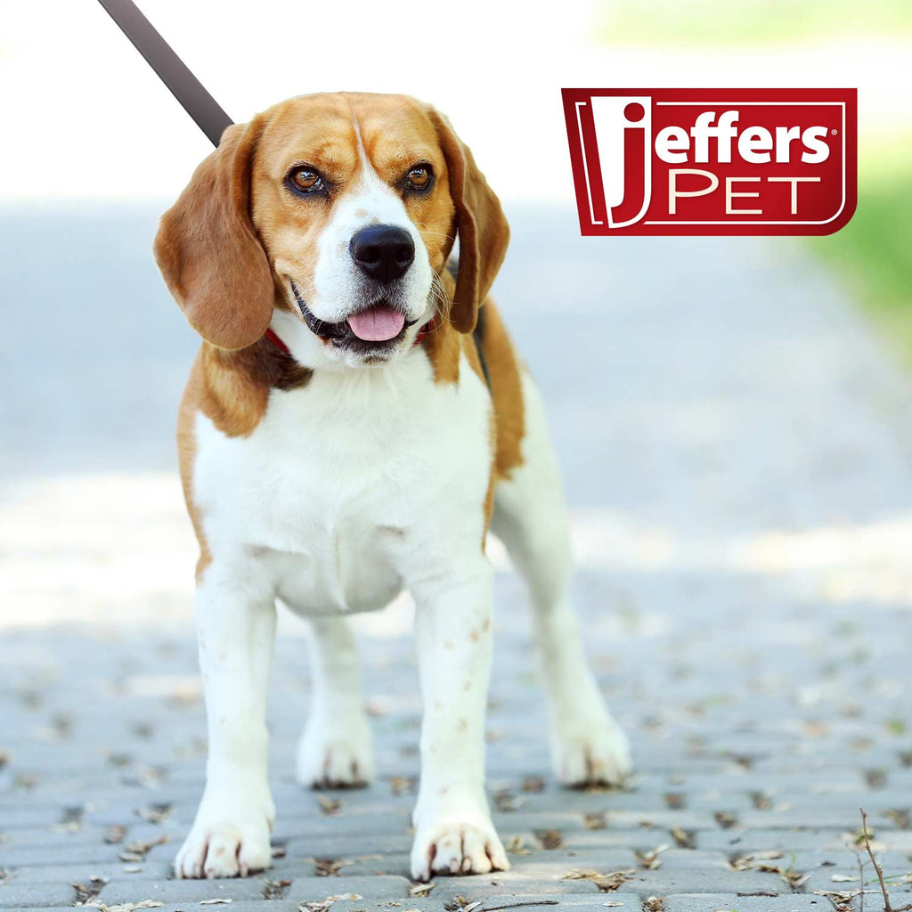 Flat Leather Dog Leash, 6 ft