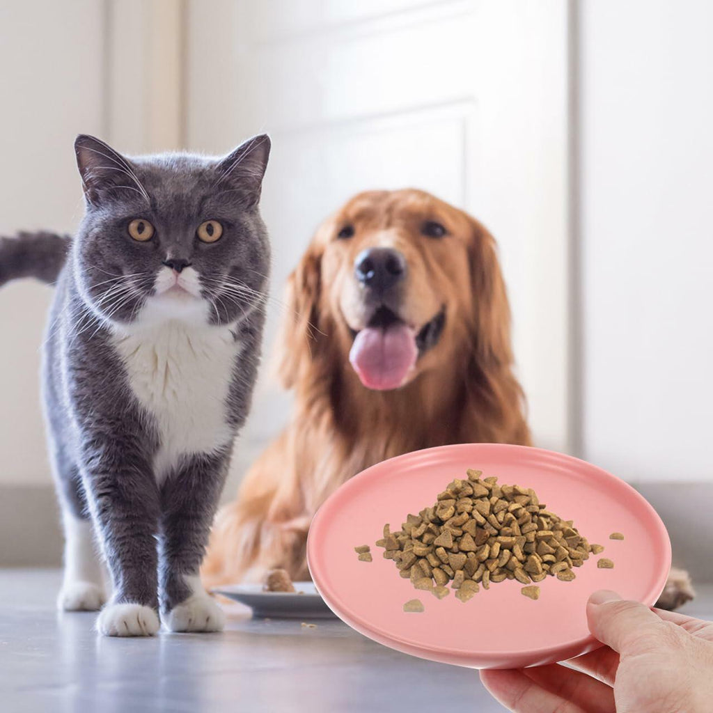 Whisker-Friendly Ceramic Cat Bowl