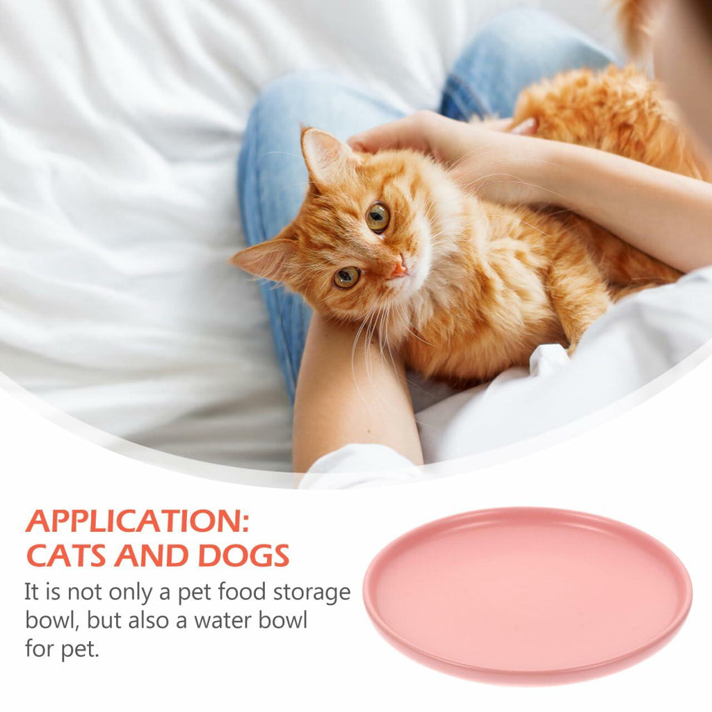 Whisker-Friendly Ceramic Cat Bowl