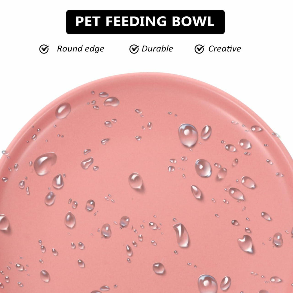 Whisker-Friendly Ceramic Cat Bowl