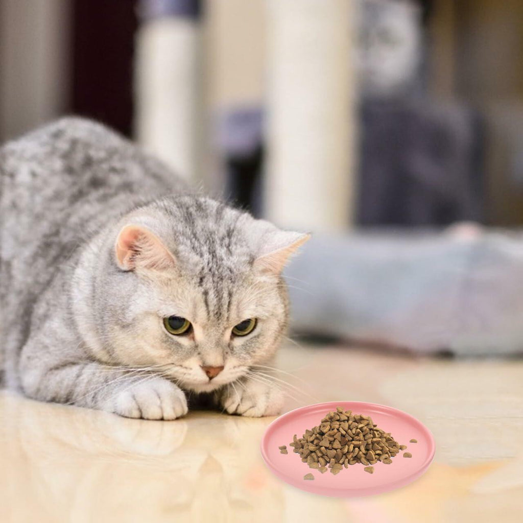 Whisker-Friendly Ceramic Cat Bowl